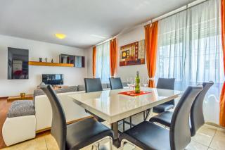Luxury Apartments Domgjoni - 9