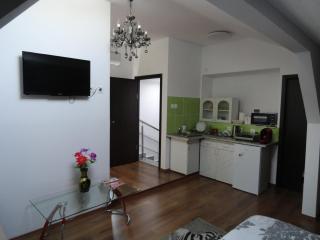 Carmen Studio - Otopeni - 8