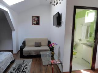 Carmen Studio - Otopeni - 7