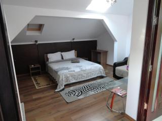 Carmen Studio - Otopeni - 4