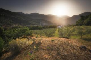 Sarl Aurore-Vacances - Vico - 4