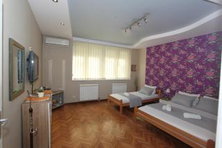 Sneki Apartment - Belgrado - 8
