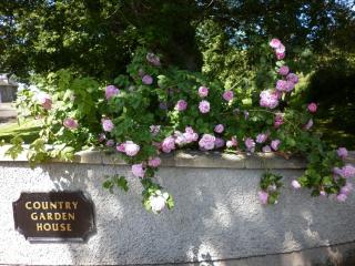 Country Garden House Holiday Homes - Ballymoney - 0