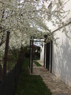 Casa Lacul Sarat - Techirghiol - 4