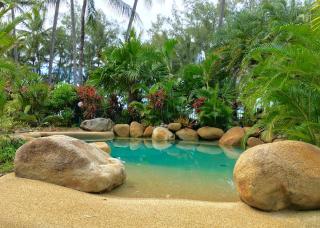 Melaleuca Resort - Palm Cove - 4