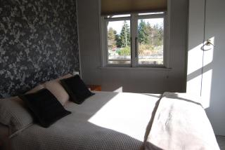 Judge Rock Exclusive Vineyard Cottage Accommodation - Alexandra - 4