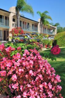 Lamplighter Inn & Suites at SDSU - 5