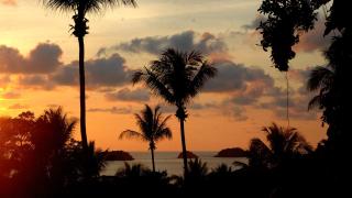 Oasis Koh Chang - Ko Chang - 8