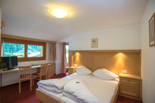 Pension Regina - Mayrhofen - 5