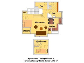 “Haus am Küstenwald” Ferienwohnungen - 9