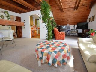Villa in Bechyne with Private Pool and Sauna - Bechyně - 6