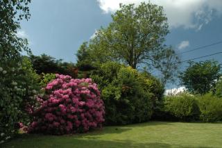 Ferme du Banoyard - 6