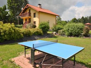 Country House in Czech Forest with Pool - Konstantinovy Lázně - 6