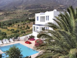 Villa in Lefkogia Crete with swimming pool - Lefkogeia - 7