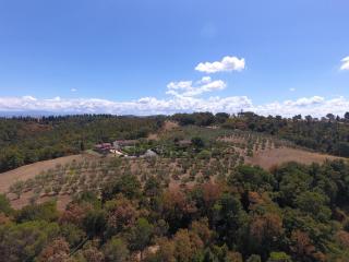 Podere La Casuccia - Malmantile - 8
