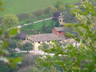 Agriturismo Orsaiola - Urbania - 3