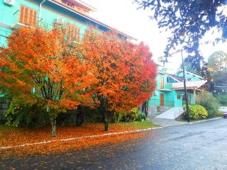 Zermatt Hotel - Gramado - 8