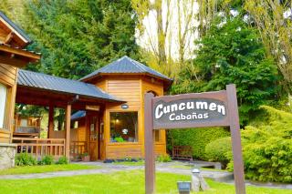 Apart Hotel Cuncumen - 0