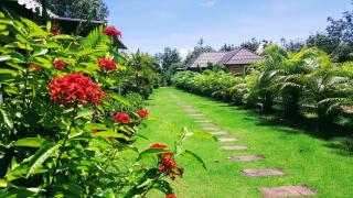 CharPoot Cottage Khao Lak - Khao Lak - 6