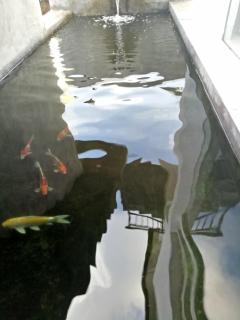 LeGong Guesthouse - Ubud - 9
