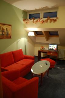 Hotel Filipinum - Jablonné nad Orlicí - 3