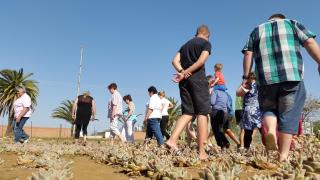 Third Rock Guesthouse - Ventersburg - 7