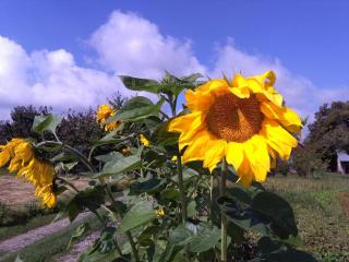 Chata na końcu świata - 2