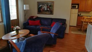 Levin Alppi 3 A 1 Apartment - Levi - 8