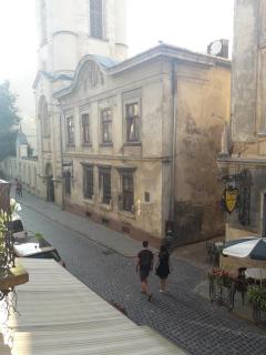 Apartments on Virmenska Street - 4