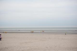De Witte Parel - Oostduinkerke - 9