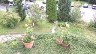 Ferienwohnungen Villa Goldbrunnen - Bad Elster - 7