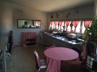 Rinidia - Siena Celso Cittadini - Siena - 6