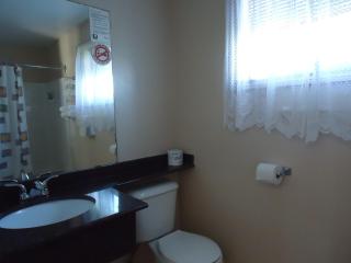 The Silver Birch Motel - Goderich - 6