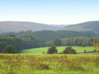 Holiday Home Winenne near French Border - Beauraing - 2