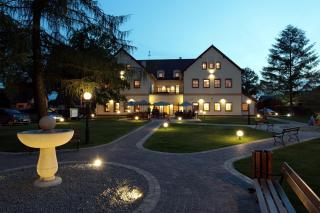 Hotel Modrzewiowy Dwór - Gliwice - 0