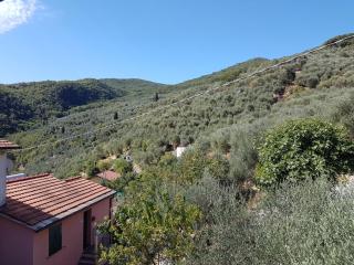 Piccolo rifugio nel Verde - 1