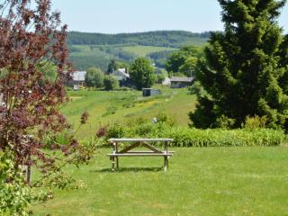 Apartments for Rent in Gros-Fays - Gros-Fays - 7