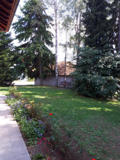 Apartmani U Borovoj Šumi - 1