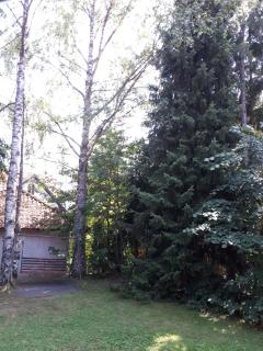 Apartmani U Borovoj Šumi - Zlatibor - 5