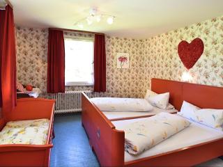 Country-style flat with garden - Triberg im Schwarzwald - 1