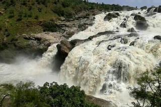 Green Peace Bheemeshwari - 2