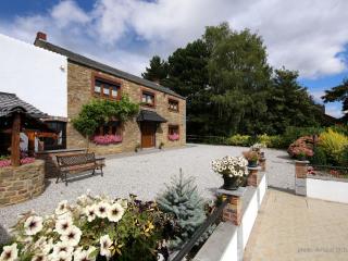 Holiday home in Mettet with garden - Mettet - 8