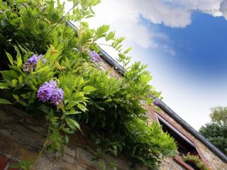 Holiday home in Mettet with garden - Mettet - 9