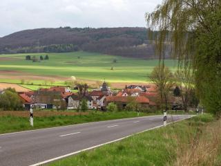 Apartment in Waßmuthshausen near Wildlife Park - Homberg - 4