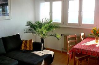 Ferienwohnung Gita - Öhningen - 5