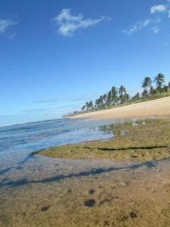 Village Duplex Rústico Litoral Norte da Bahia - 9