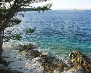 Rooms by the sea Pomena, Mljet - 4929 - 8