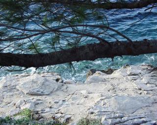 Rooms by the sea Pomena, Mljet - 4929 - 7