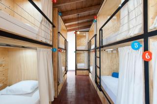 Capital Hostel de Ciudad - San José - 6