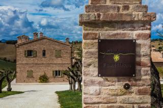 Filodivino Wine Resort & SPA - San Marcello - 4